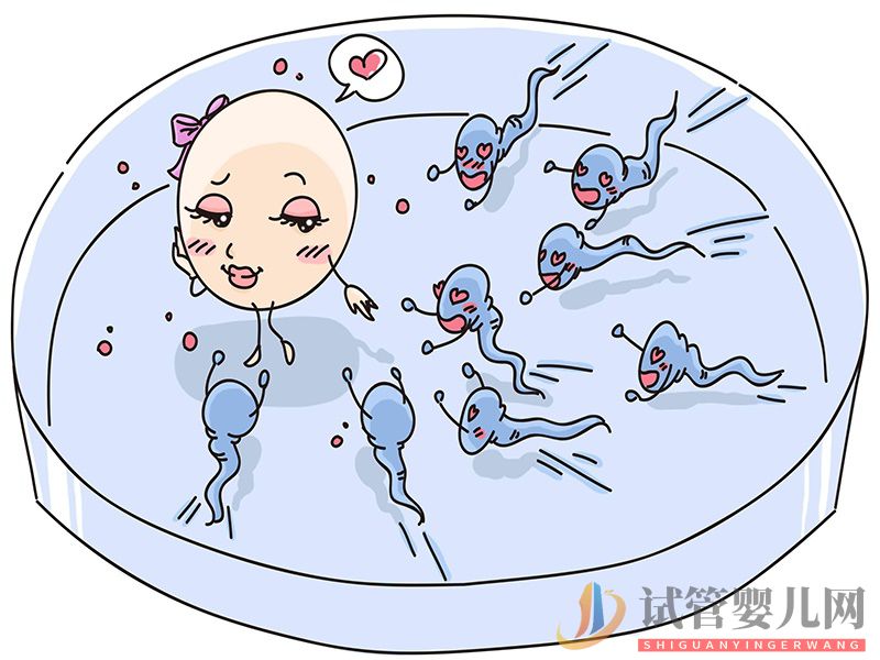 什么是PGS和PGD 它在三代試管中有哪些作用? 什么是PGS和PGD 它在三代試管中有哪些作用?(圖1)