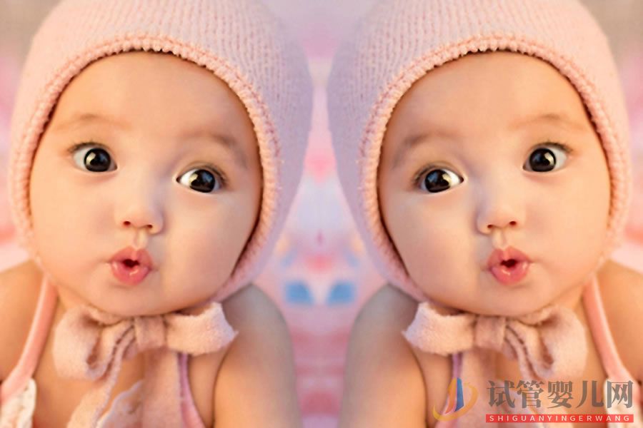 同卵雙胞胎和異卵雙胞胎