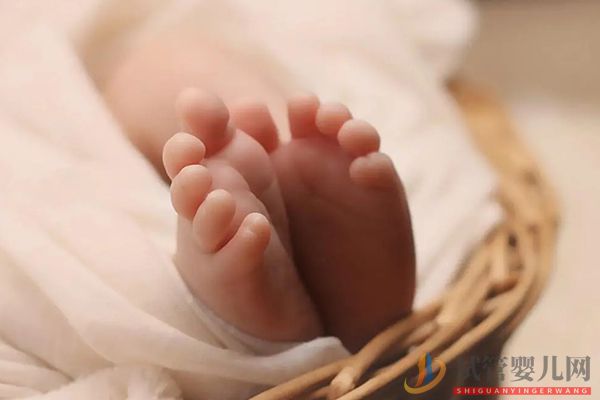 虎年生男生女表怎么看 教你準確算性別(圖4) 虎年生男生女表怎么看 教你準確算性別(圖4)