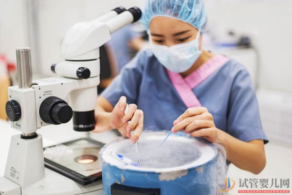 馬來西亞試管嬰兒流程(圖8) 馬來西亞試管嬰兒流程(圖8)