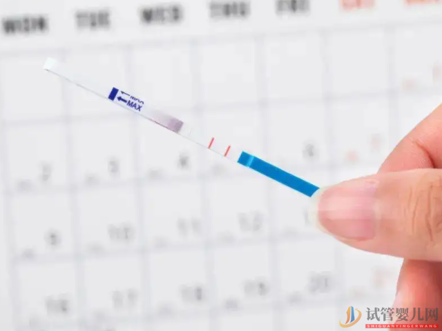 女性的成熟卵泡并不一定是在排卵日當天排出的(圖3)