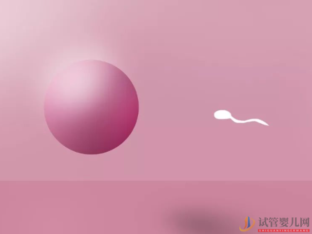 排卵日前三天以及后兩天的受孕幾率都是非常高的(圖3)