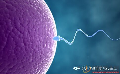 這四種男女,要盡早做試管嬰兒(圖6)