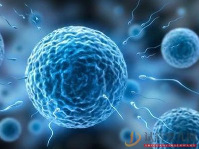 子宮移位能做試管嬰兒嗎？(圖1)