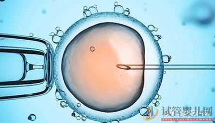 試管嬰兒具體流程(圖4)