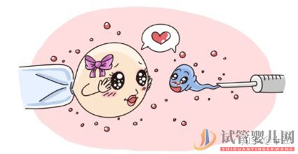 一代、二代、三代試管嬰兒究竟有什么區(qū)別(圖3) 一代、二代、三代試管嬰兒究竟有什么區(qū)別(圖3)