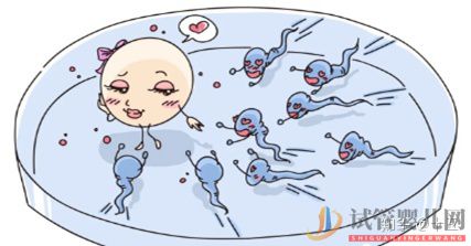 一代、二代、三代試管嬰兒究竟有什么區(qū)別(圖2) 一代、二代、三代試管嬰兒究竟有什么區(qū)別(圖2)