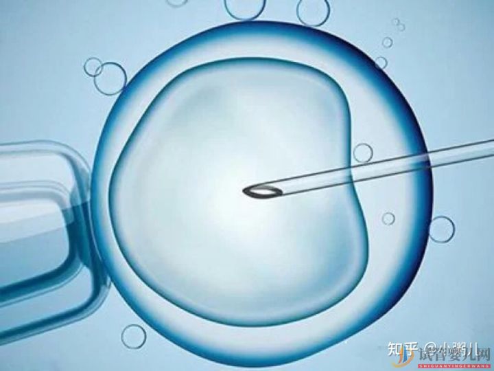 一代二代三代試管的區別!適用于哪些人群(圖1)