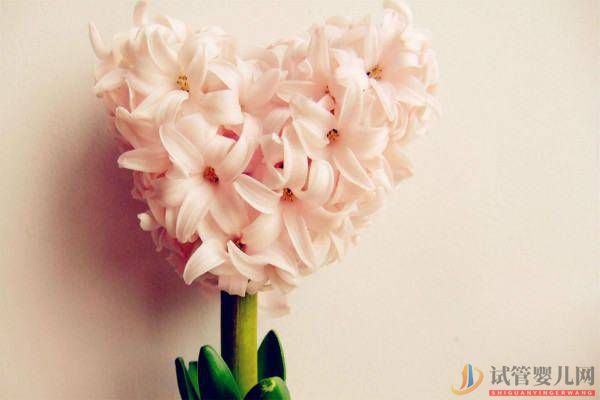 你身邊的單親媽媽正在過著怎樣的生活?(自己做試管嬰兒的單親媽媽)試管嬰兒醫(yī)院排名最好(圖2) 你身邊的單親媽媽正在過著怎樣的生活?(圖2)