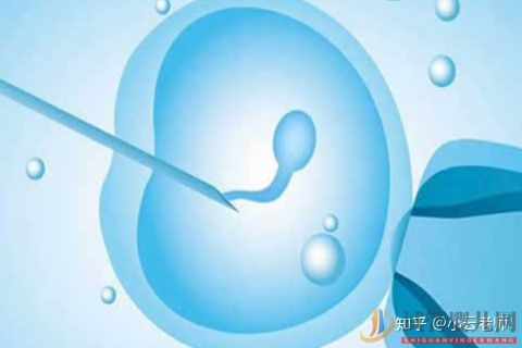 全面解讀一代、二代、三代試管嬰兒的區別(圖3)