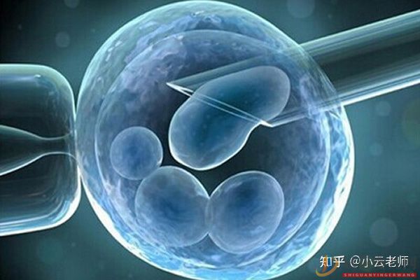 全面解讀一代、二代、三代試管嬰兒的區別(圖2)