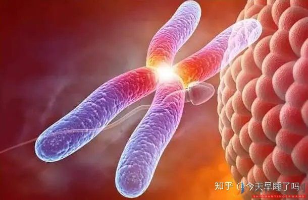 西昌第三代試管嬰兒技術,有哪些優點和缺點(圖3)