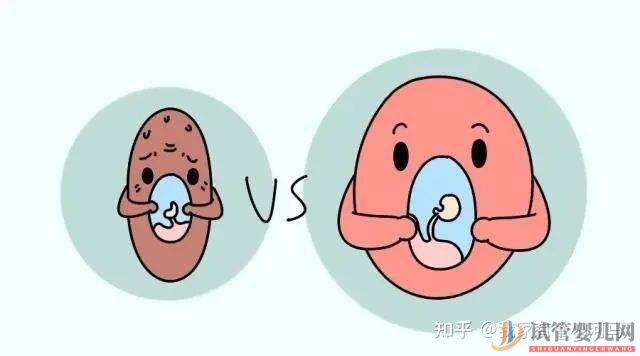 西昌第二代和第三代試管嬰兒的區別是什么_有什么不同(圖1)