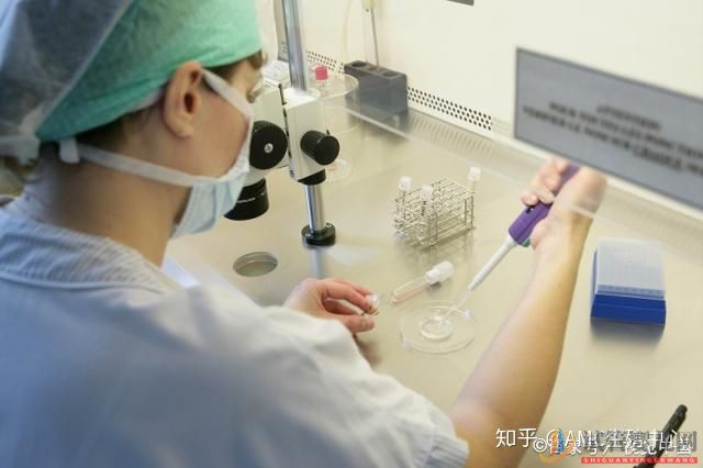 試管嬰兒和普通嬰兒有什么區(qū)別(圖2) 西昌試管嬰兒和普通嬰兒有什么區(qū)別(圖2)