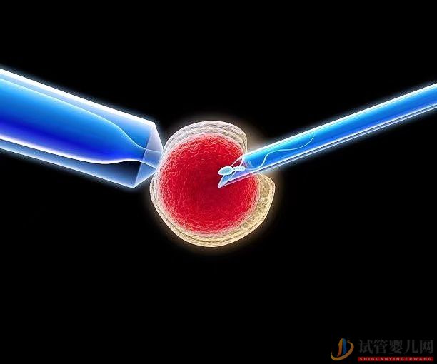 高齡女性在做三代試管時(shí),取多少個(gè)卵子合適?不孕不育(圖1) 高齡女性在做三代試管時(shí),取多少個(gè)卵子合適?不孕不育(圖1)