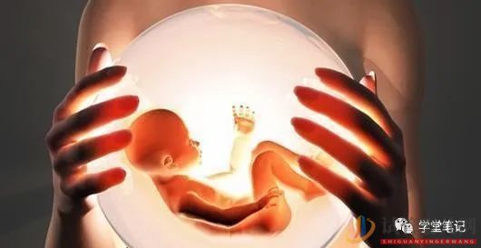 中國第一例“試管嬰兒”已經33歲,她的現狀卻令人驚訝(圖1)