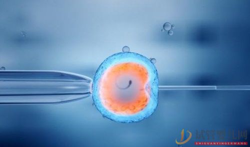 做試管嬰兒的最佳年齡是幾歲(自己做試管嬰兒的單親媽媽)試管嬰兒做一次多少錢(圖1) 做試管嬰兒的最佳年齡是幾歲(圖1)