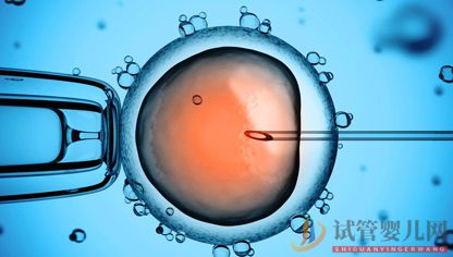 如何避開做試管嬰兒的誤區(qū)?(自己做試管嬰兒的單親媽媽)試管嬰兒費(fèi)用大概要多少錢(圖2) 如何避開做試管嬰兒的誤區(qū)?(圖1)