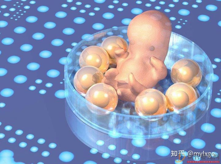 做試管嬰兒要帶什么證件(圖2)