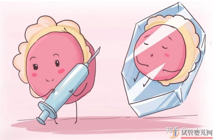 做試管嬰兒要帶什么證件(圖1)