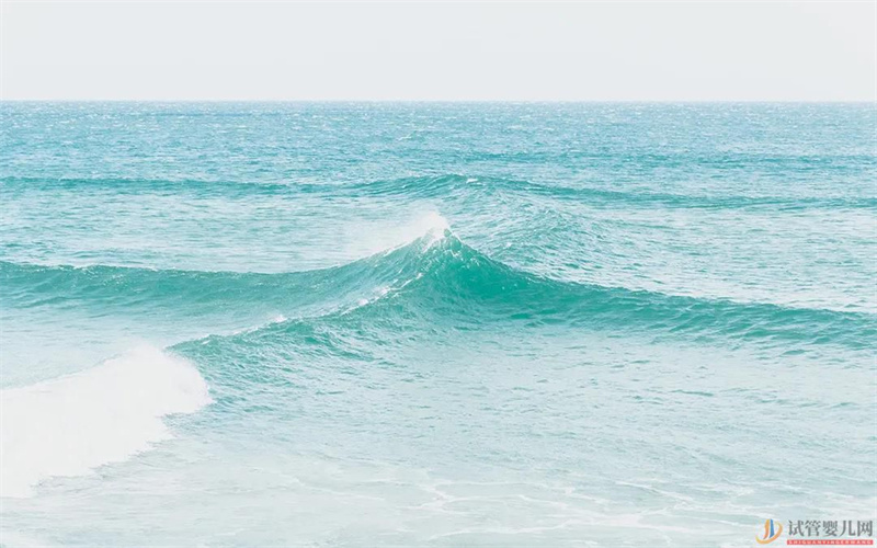 做試管需要做哪些檢查(圖1)