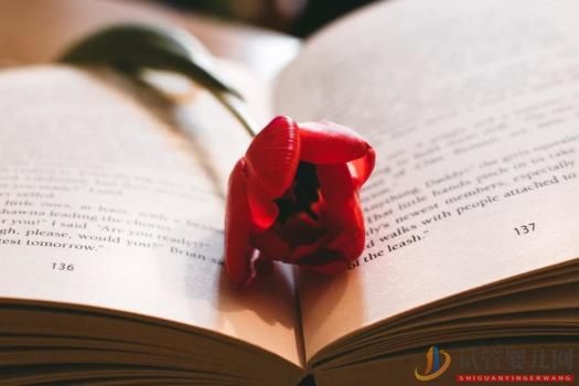 單方離婚需要具備什么條件,有哪些?(做試管需要具備什么身體條件)多囊卵巢能懷上孩子嗎(圖1) 單方離婚需要具備什么條件,有哪些?(圖1)