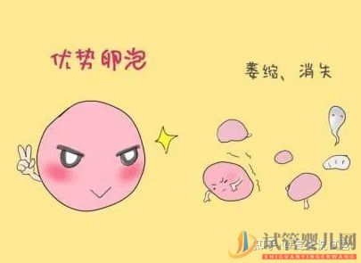 帶你提前了解幾代試管嬰兒的費用(圖2)