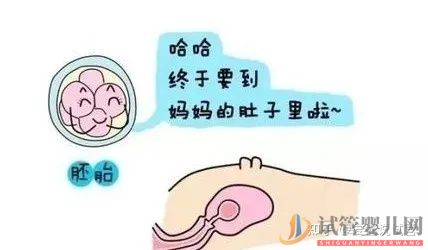 帶你提前了解幾代試管嬰兒的費用(圖4)