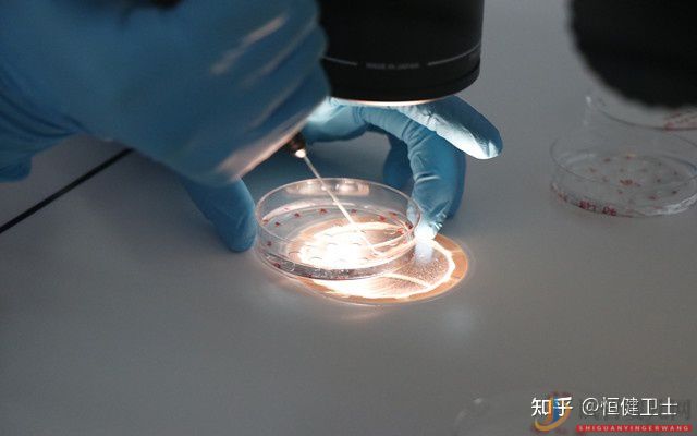 銀川做三代試管大約多少錢一次(圖2) 銀川做三代試管大約多少錢一次(圖2)