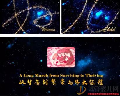 南昌3800萬不孕女性,輔助生殖會是她們最后的救命稻草嗎(圖2) 南昌3800萬不孕女性,輔助生殖會是她們最后的救命稻草嗎(圖2)