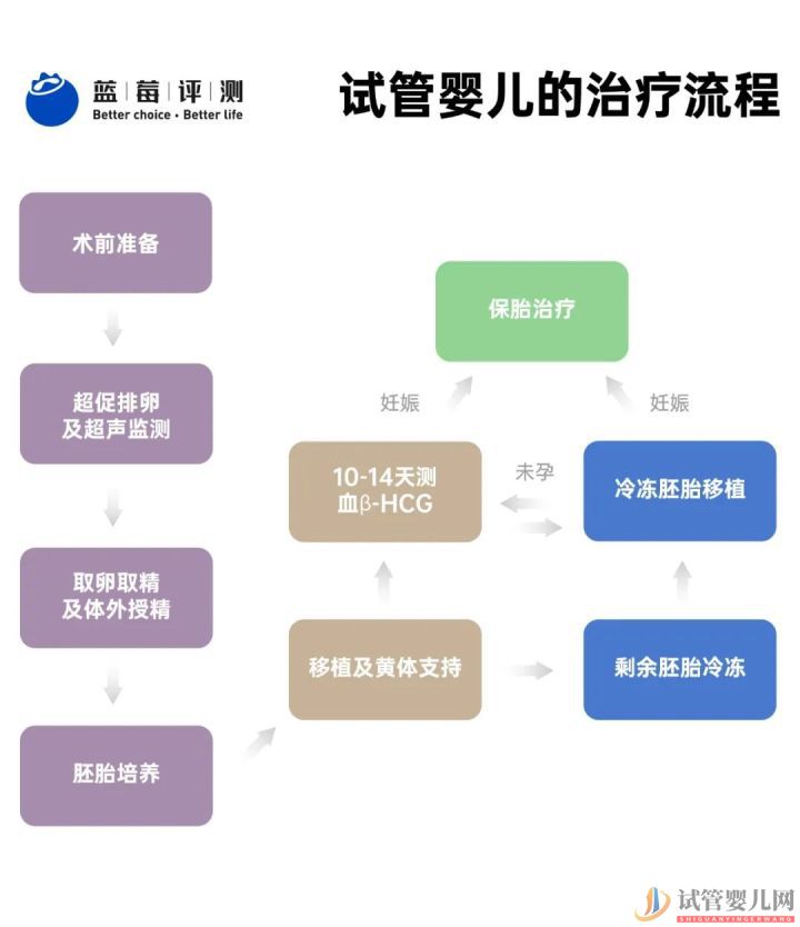 試管嬰兒可以報銷了,你可能需要這篇輔助生(圖10) 試管嬰兒可以報銷了,你可能需要這篇輔助生(圖6)