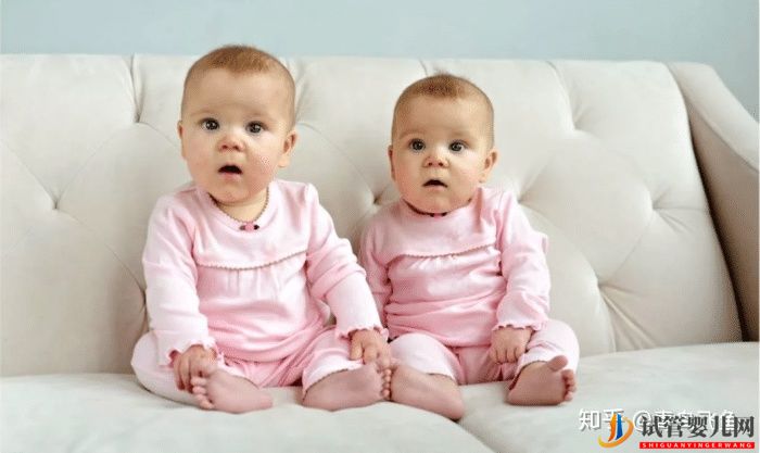 蘭州試管嬰兒龍鳳胎費用(圖1)