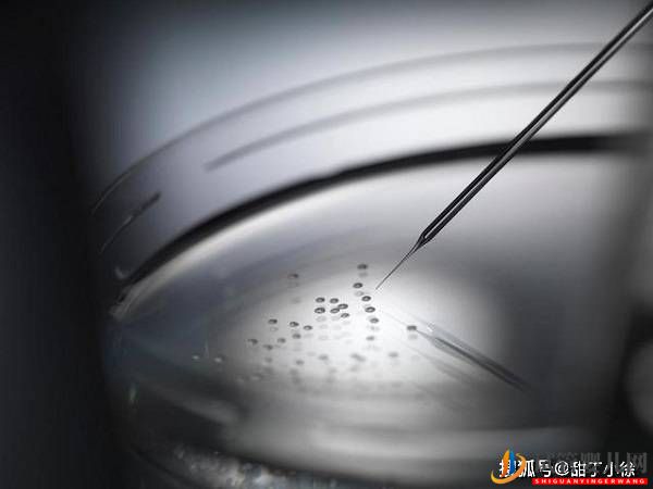 太原直觀分析試管嬰兒成功率高嗎(圖1)