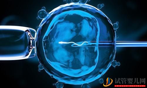 試管嬰兒網(wǎng)男性需要關(guān)注的做試管取精流程(圖2) 林芝男性需要關(guān)注的做試管取精流程(圖1)