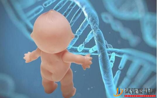 做一次試管嬰兒的過程需要多久(圖1)