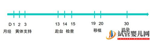 做試管嬰兒流程最全講解(圖5)