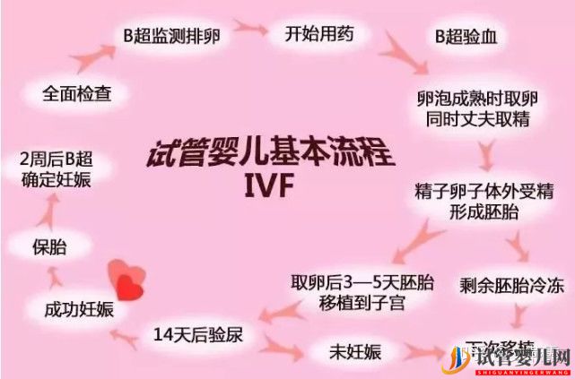 試管嬰兒網(wǎng):試管嬰兒全流程介紹(圖1) 試管嬰兒全流程介紹(圖1)