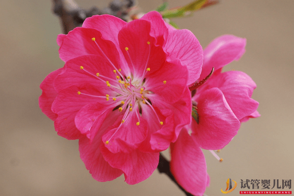 三個生肖這幾個月過得很辛苦，但接下來的幾個月，他們可以享受幸福(圖1)
