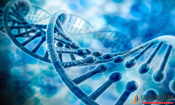 這四類女性試管胚胎移植的成功率非常高！(圖1)