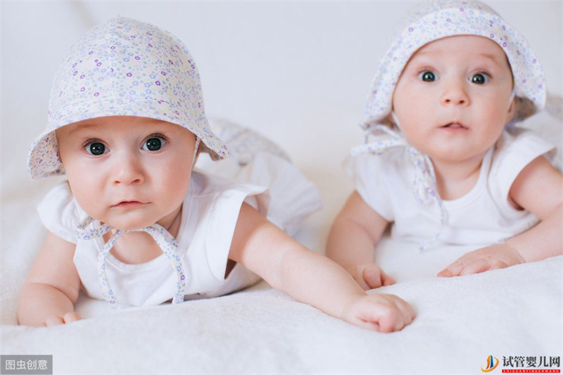 想生雙胞胎，借助試管技術走捷徑，移植兩個胚胎就一定能成功嗎？(圖1)