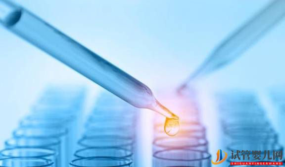 C級胚胎能移植嗎？做試管嬰兒移植C級胚胎懷孕概率有多大？(圖1)