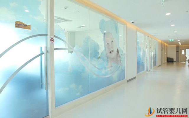 去泰國做試管嬰兒需要辦理哪些手續(xù)(圖1)