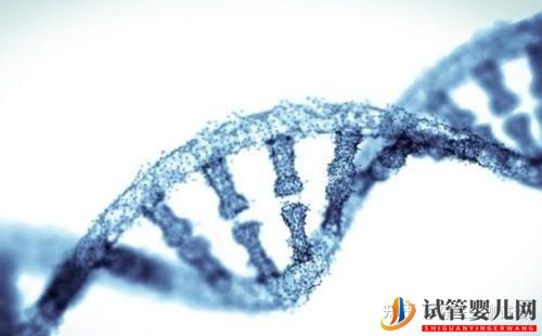 試管嬰兒網(wǎng):尊諾優(yōu)生_試管嬰兒多少錢一次_一個試管周期大概需(圖2) 試管嬰兒多少錢一次_一個試管周期大概需(圖2)