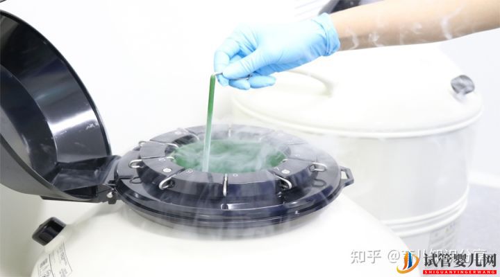 試管生一對龍鳳寶寶大概要多少錢(圖1)