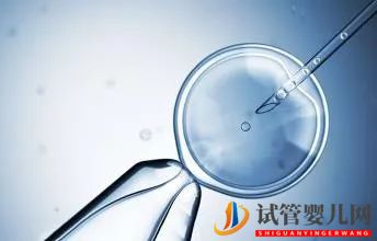 如何有效降低試管嬰兒的花費？(圖1)