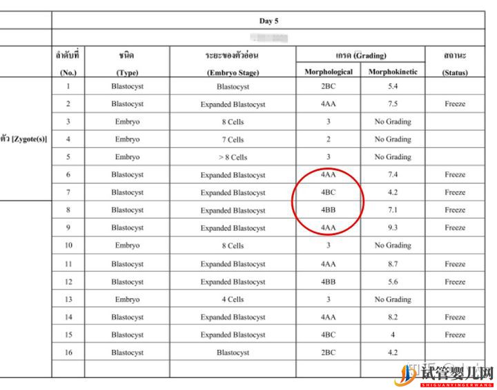 試管嬰兒網:8分鐘帶你了解關于囊胚等級的一切(圖1) 8分鐘帶你了解關于囊胚等級的一切(圖1)