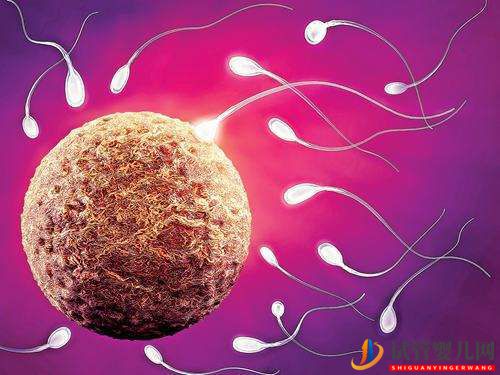 做一次試管嬰兒的過程多長時間呢(圖1)