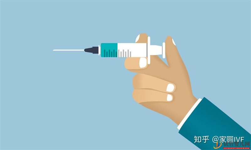 做一回試管嬰兒大約需要多長時間(圖2)