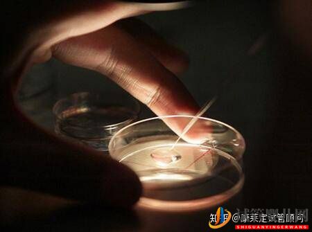 做試管嬰兒最詳細的講解,全部只要七步就能完成!(圖8) 做試管嬰兒最詳細的講解,全部只要七步就能完成!(圖8)