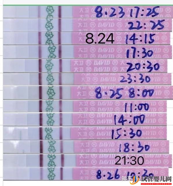 備孕懷男孩_兒子的科學(xué)方法如下(圖4)